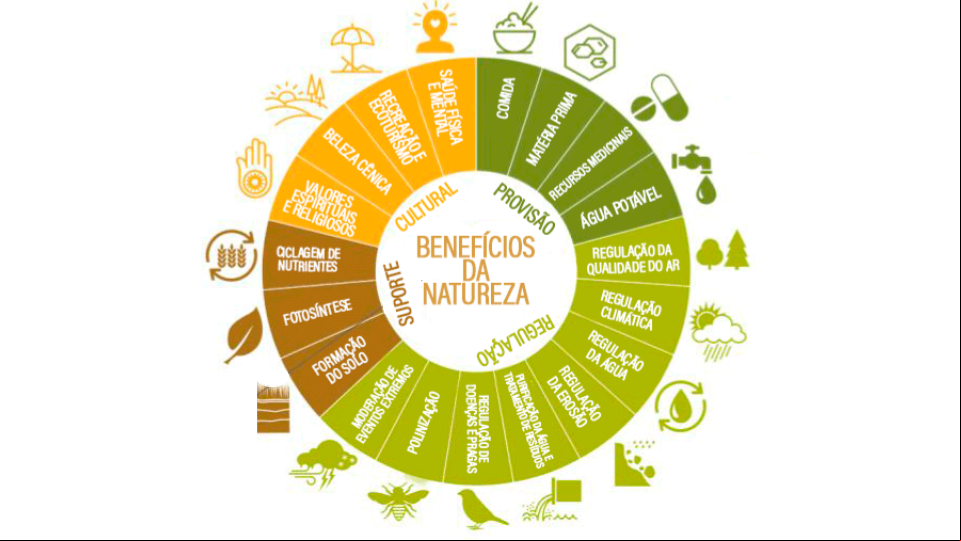Serviços ecossistêmicos